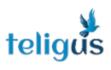 Teligus Networks